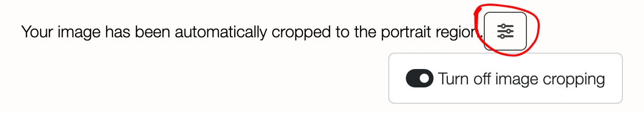 screenshot showing how to disable cropping