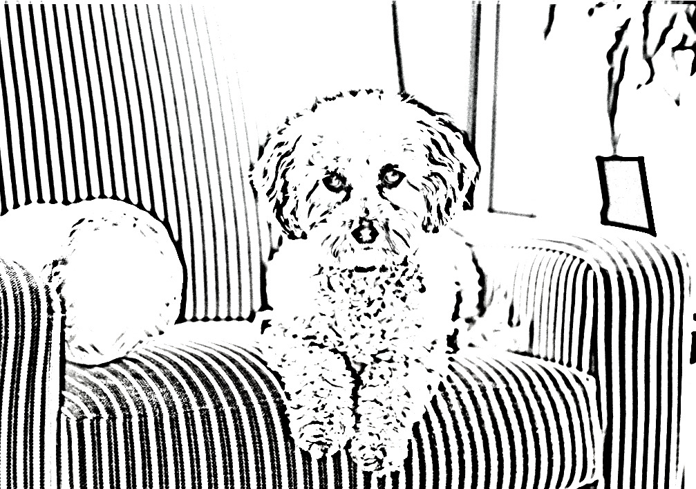 Coloring page made with Crayola's ColorCamera app